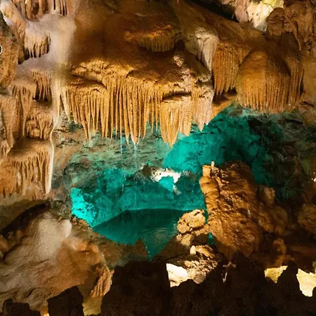 Casa Andorinhas - - Nazare Alcobaca Guest house