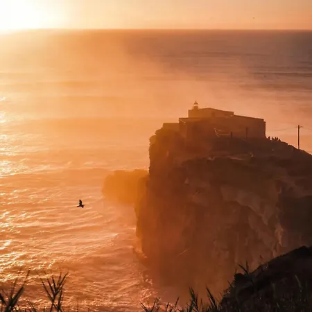 Casa Andorinhas - - Nazare Alcobaca Guest house Coz