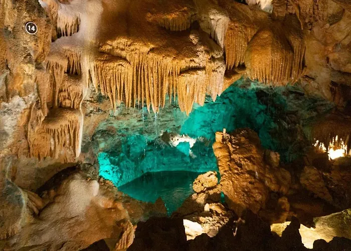 Casa Andorinhas - - Nazare Alcobaca ゲストハウス