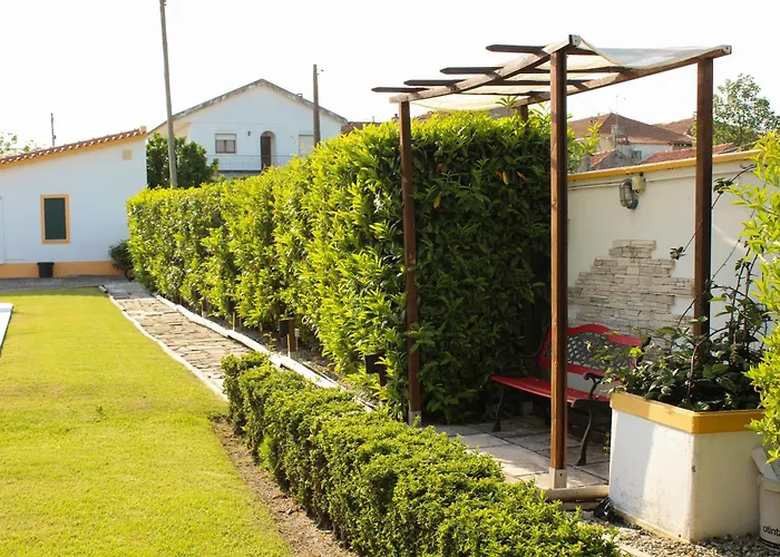 Casa Andorinhas - - Nazare Alcobaca ゲストハウス 4*